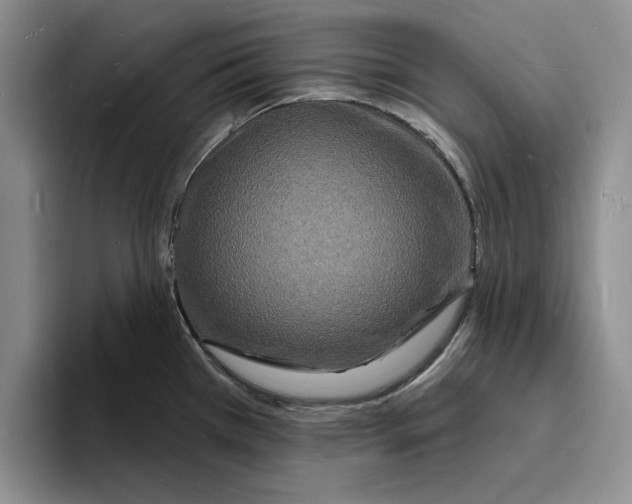 X0000096391385200802211132