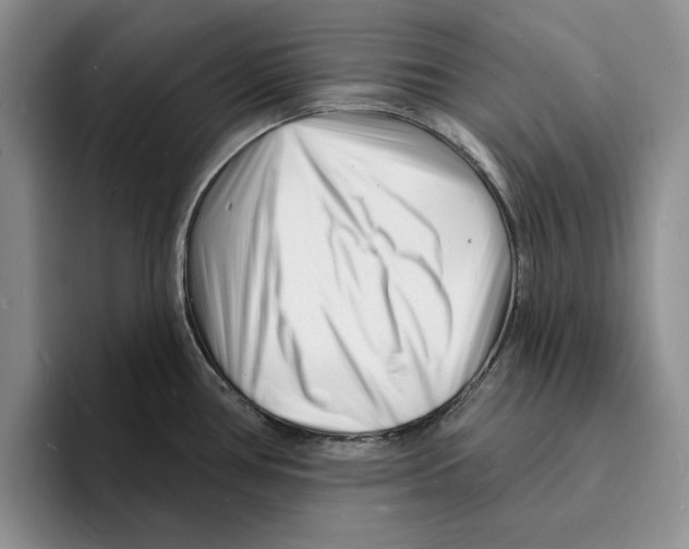 X0000096391386200802211132