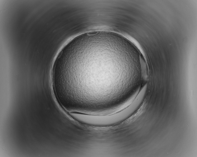 X0000096391389200802211132