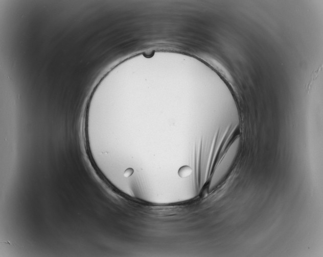 X0000096391391200802211132