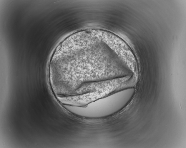 X0000096391392200802211132