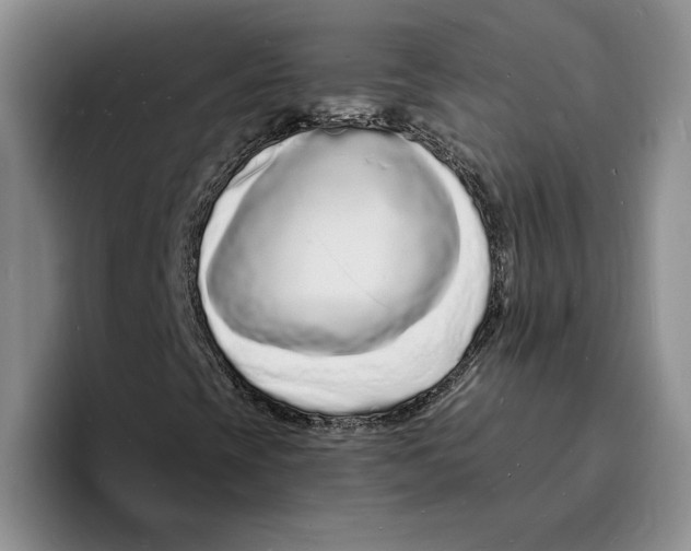 X0000096391393200802211132