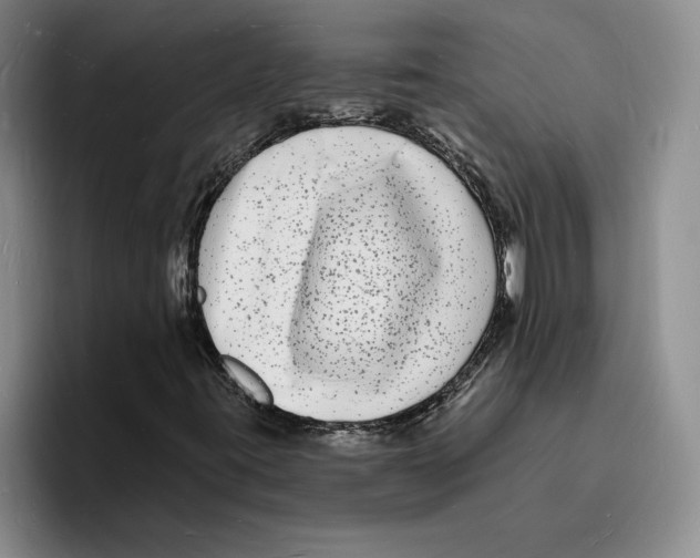 X0000096391395200802211132