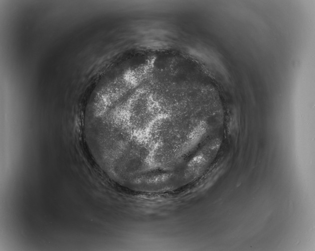 X0000096391397200802211132