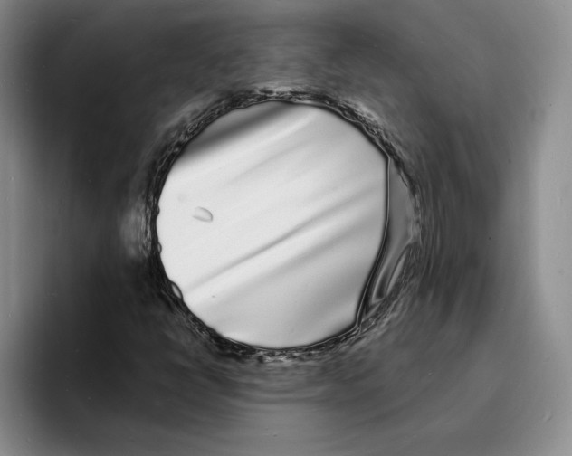 X0000096391398200802211132