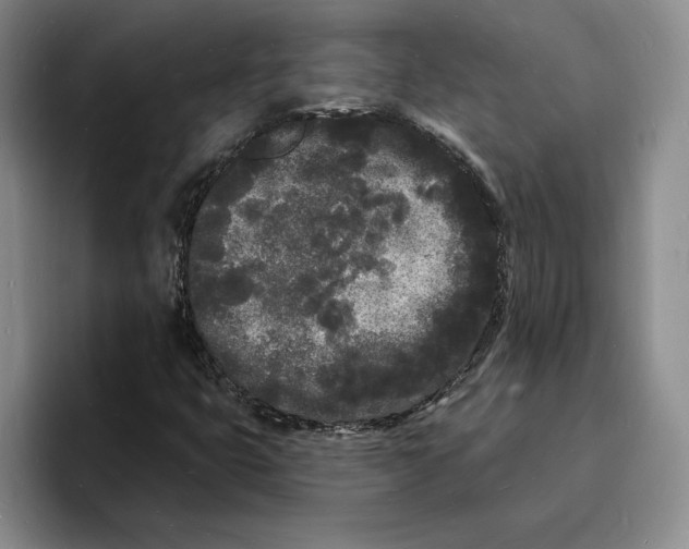 X0000096391399200802211132