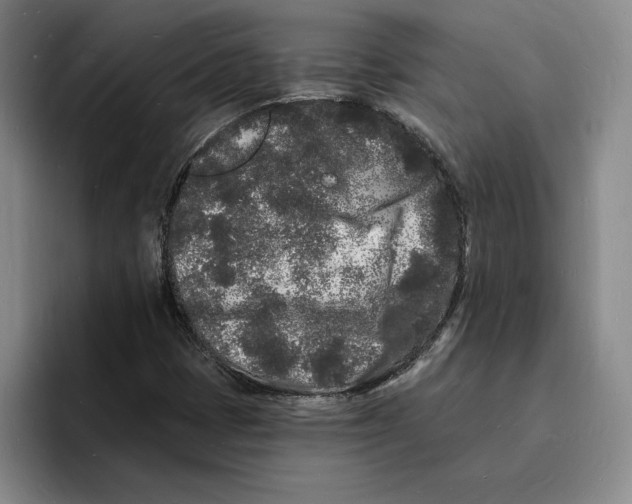 X0000096391401200802211132