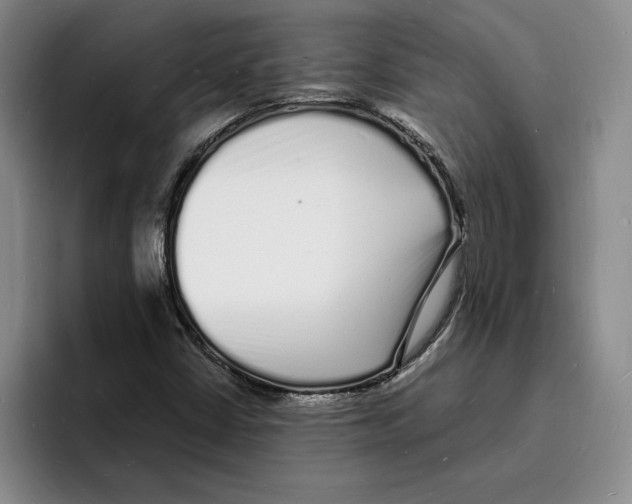 X0000096391402200802211132