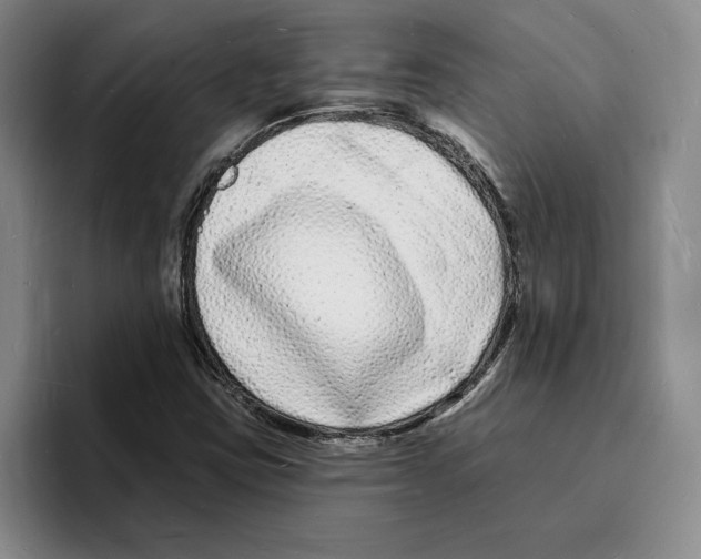 X0000096391403200802211132