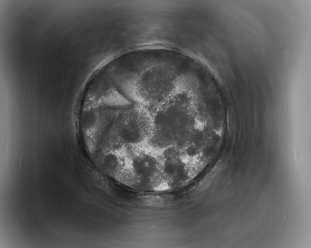 X0000096391405200802211132
