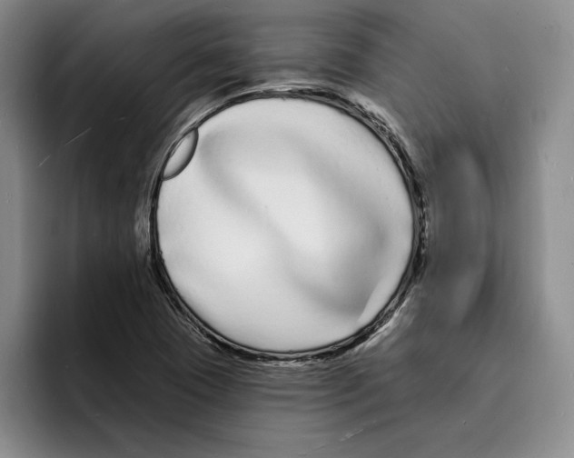 X0000096391409200802211132