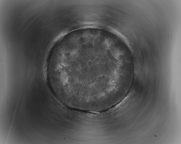 X0000096391411200802211132