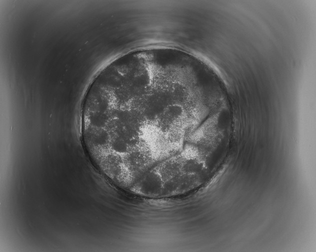 X0000096391413200802211132