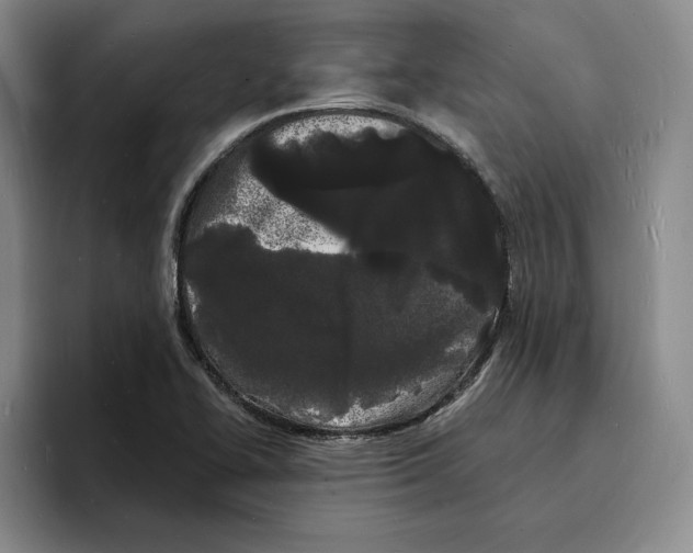 X0000096391414200802211132