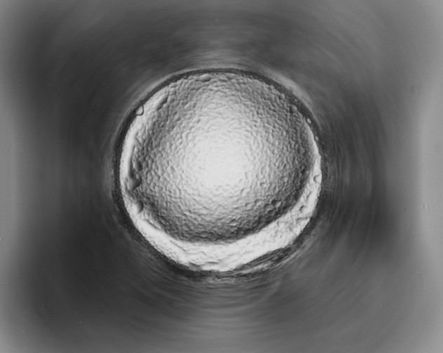X0000096391415200802211132