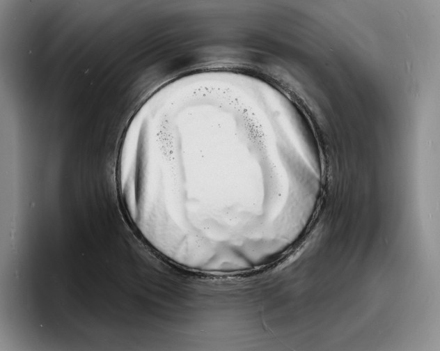 X0000096391417200802211132