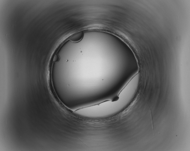 X0000096391418200802211132