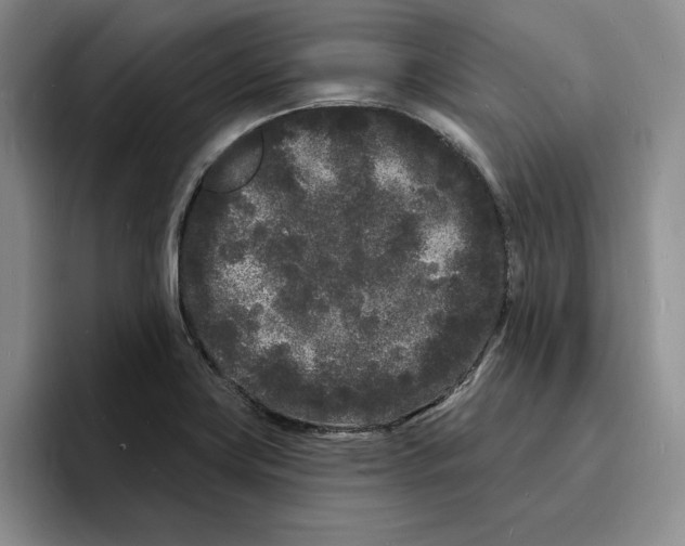 X0000096391419200802211132