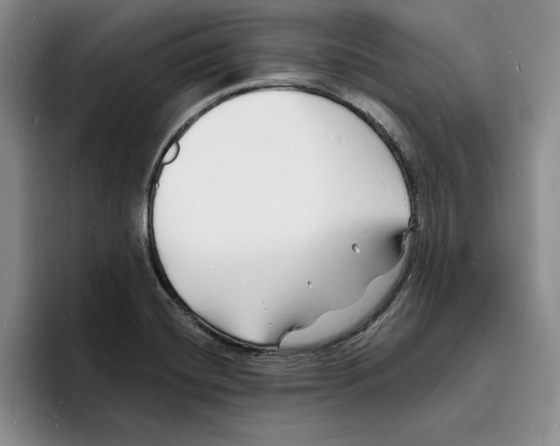 X0000096391420200802211132