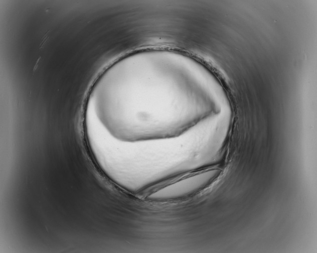 X0000096391421200802211132
