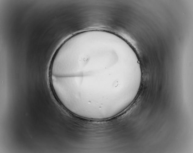 X0000096391423200802211132