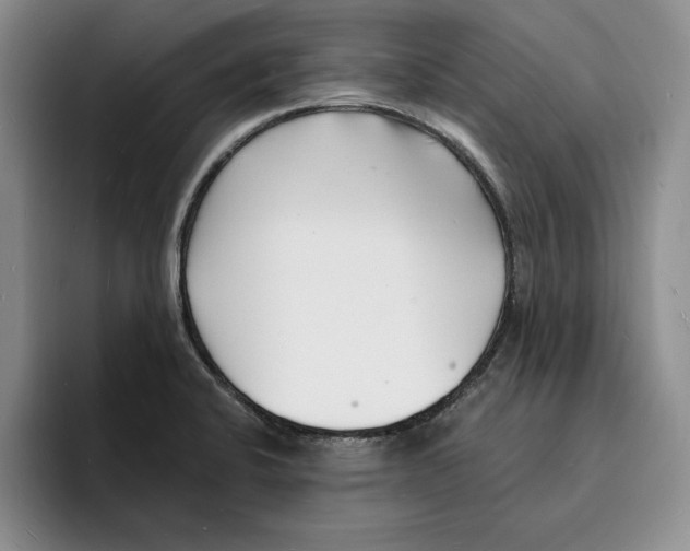 X0000096391424200802211132
