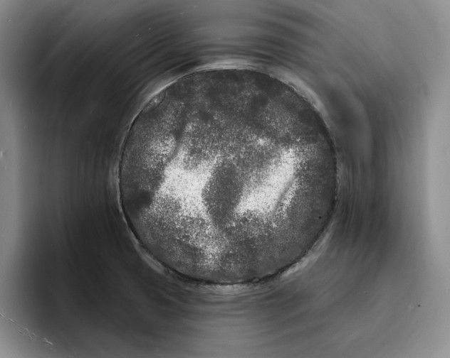 X0000096391425200802211132