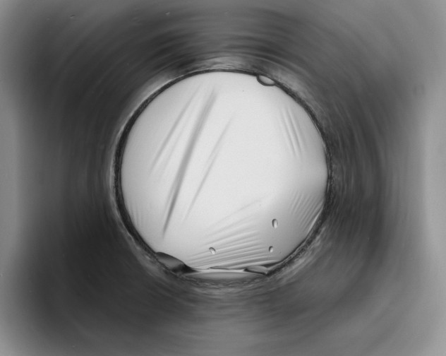X0000096391426200802211132