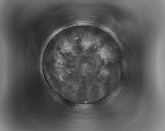 X0000096391427200802211132