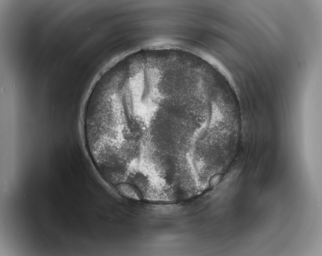 X0000096391429200802211132