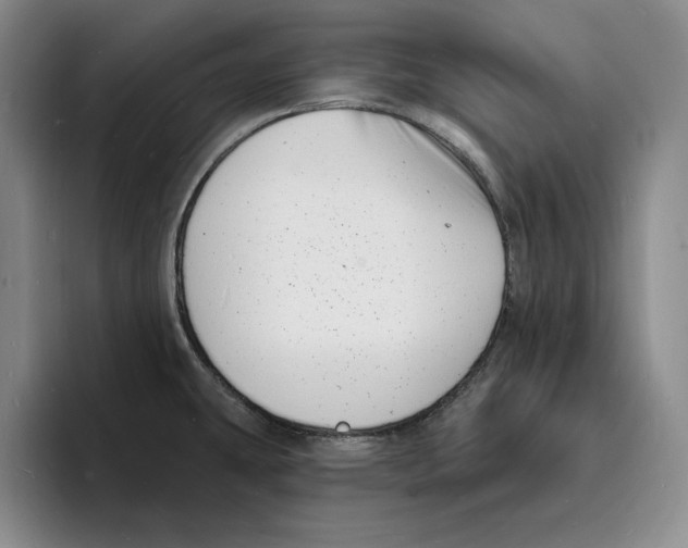 X0000096391431200802211132