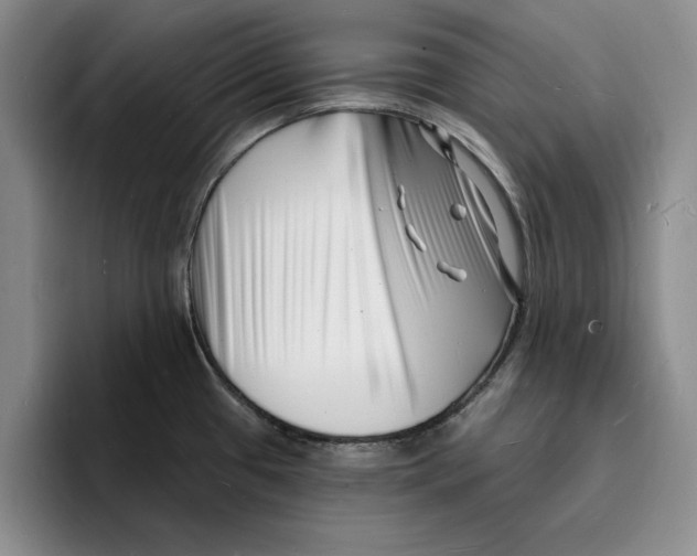 X0000096391433200802211132
