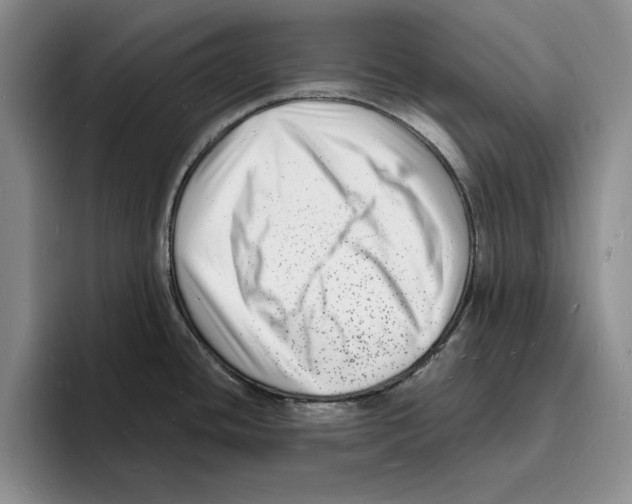 X0000096391436200802211132