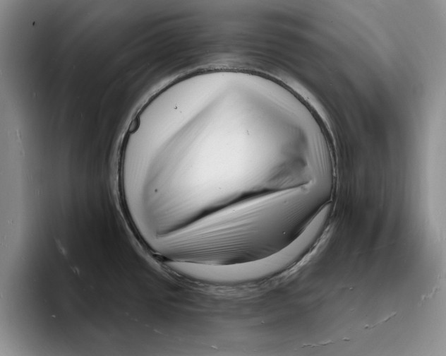 X0000096391437200802211132