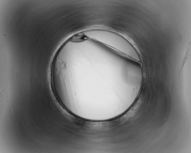 X0000096391438200802211132