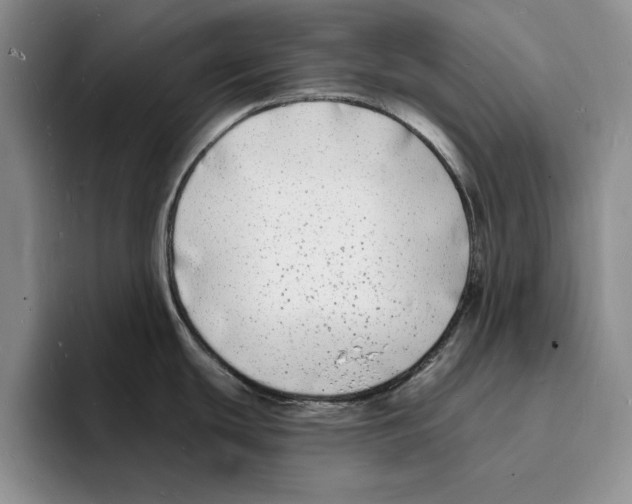 X0000096391439200802211132