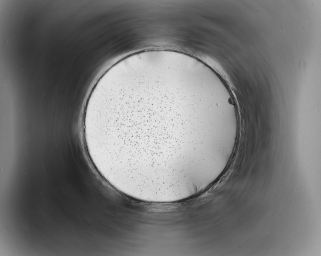 X0000096391440200802211132
