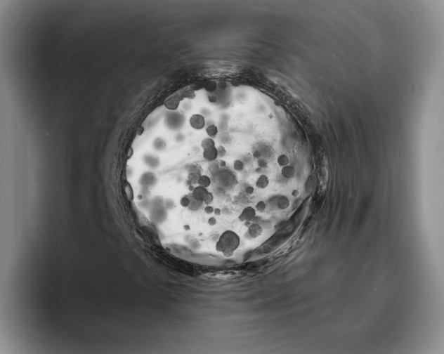 X0000096391441200802211132