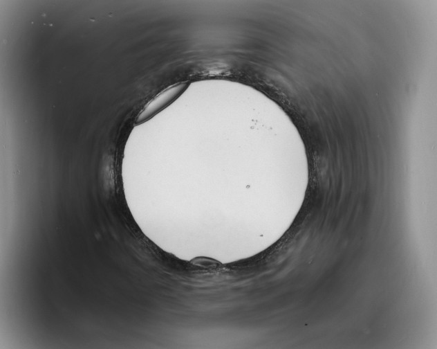 X0000096391442200802211132