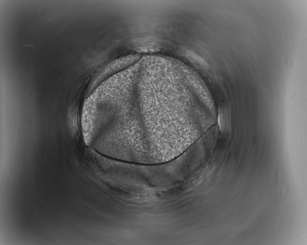 X0000096391444200802211132