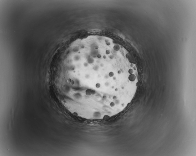 X0000096391445200802211132
