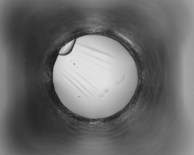X0000096391447200802211132
