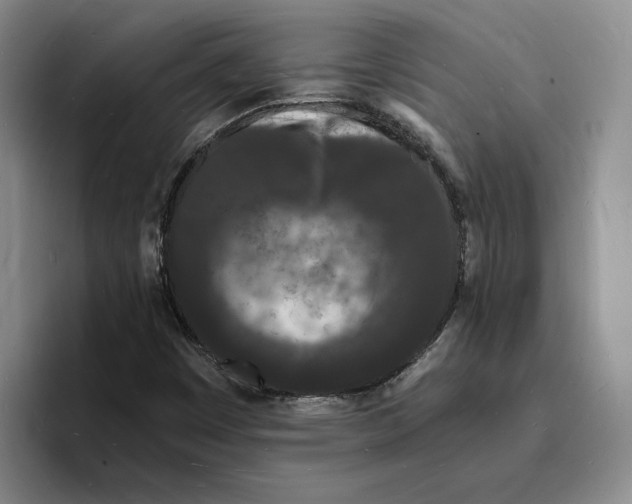 X0000096391449200802211132