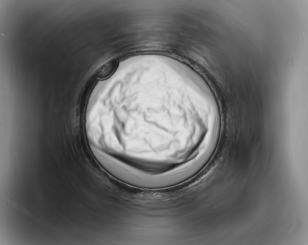 X0000096391450200802211132