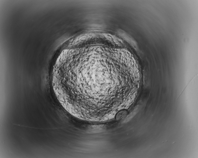 X0000096391453200802211131