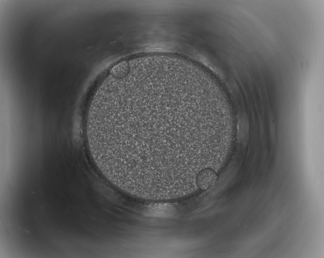 X0000096391454200802211131