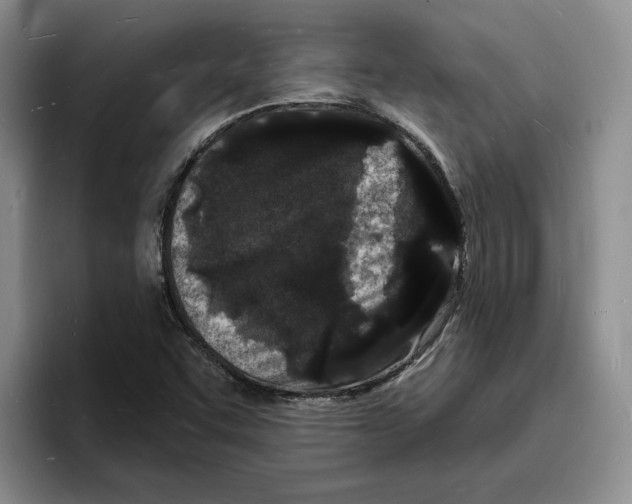 X0000096391455200802211131