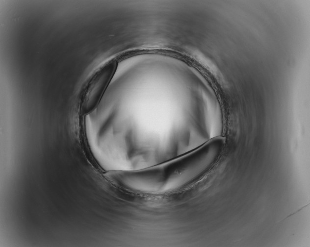 X0000096391456200802211131