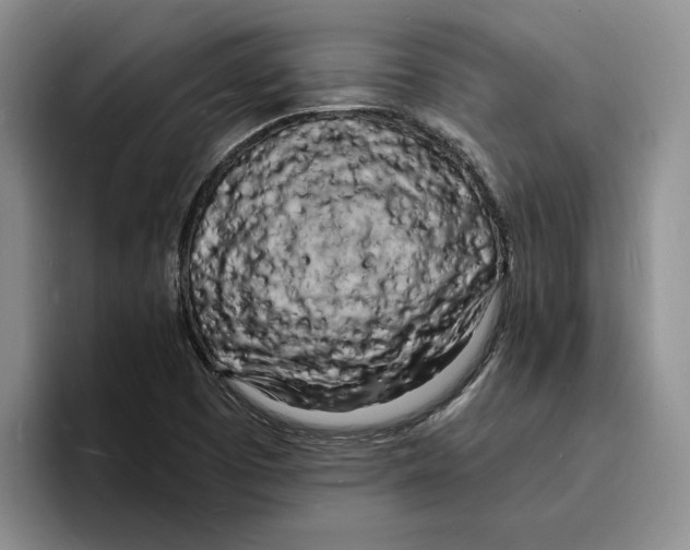 X0000096391457200802211131