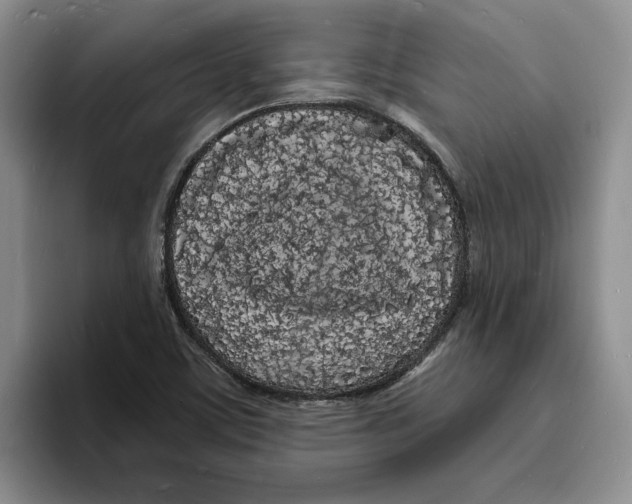 X0000096391459200802211131